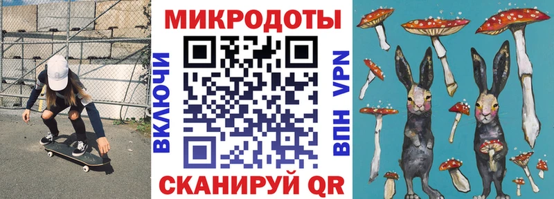 что такое Онега Галлюциногенные грибы Cubensis
